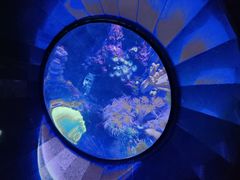 -成都浩海立方海洋公园