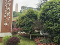 -铁山坪森林公园