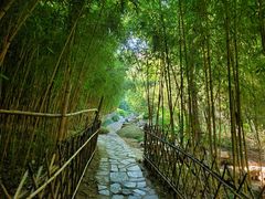 -竹子庵公园