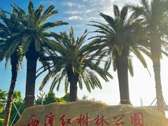 -宝安西湾红树林湿地公园