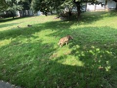 -西安秦岭野生动物园