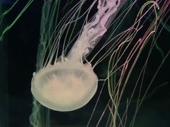 -正佳极地海洋世界
