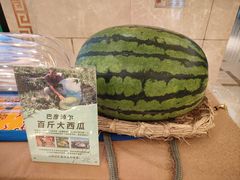 -内蒙古驻京办餐厅