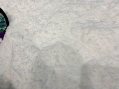 -哈尔滨热雪奇迹