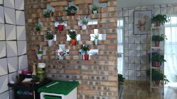 -明洞造型精品烫染