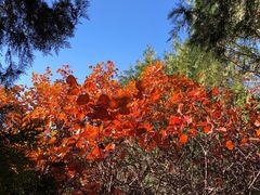 -北京西山国家森林公园