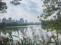 -洋湖国家湿地公园