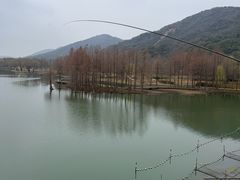 -长广溪湿地公园