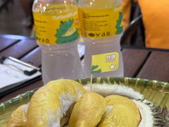 -榴莲BB 四季果园
