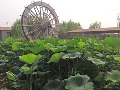 -河北村民俗体验园