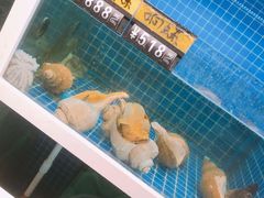 水产区-金龙·打边炉(南京西路店)