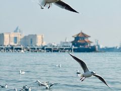 -栈桥景区