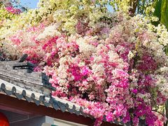 -深圳国际园林花卉博览园