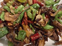 -蘑统田下·野生菌火锅