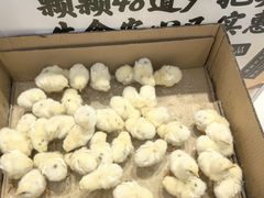 -伊藤洋华堂(温江店)
