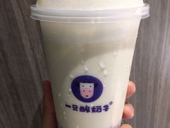 -一只酸奶牛(八一路店)