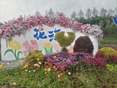 -荷兰花海
