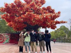 -芜湖方特东方神画