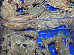 -高佳庄·舟山海鲜(海景旗舰店)