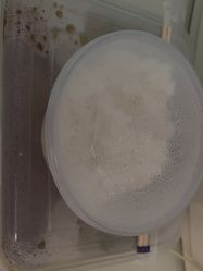 -南京医科大学友谊整形外科医院