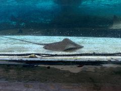 -新加坡水上探险乐园