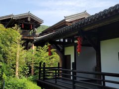 -大唐贡茶院