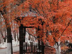 -凤凰沟景区
