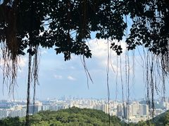 -广州市白云山风景名胜区