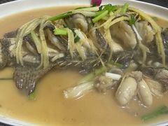 -杨记新泉美食