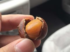 秋栗香(地安门店)-秋栗香(地安门店)