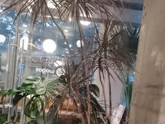 -Wagas沃歌斯(环贸店)