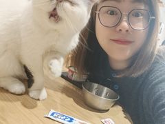 -藏猫猫咖啡主题馆(中央大道店)