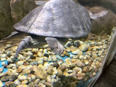-苏州海洋馆