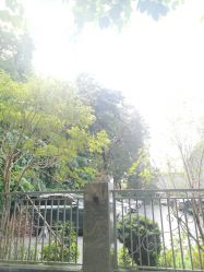 -宝生月子中心(独栋园林·福田店)
