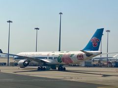 -首都机场t3-c国航两舱休息室