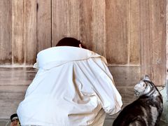 -龙华素斋(龙华路店)