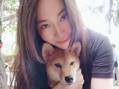 -柴犬高等学院·狗咖·柴犬售卖·宠物训练
