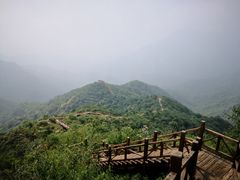 -大岭沟猕猴桃谷风景区