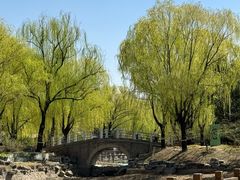 -三忘湖 SWANSEEN(柳荫公园店)