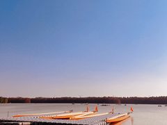 -上海海湾国家森林公园