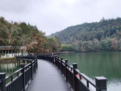 -江西阳明山国家森林公园