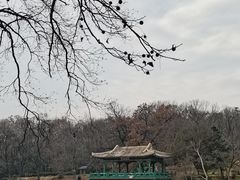 -WeLope紫金山探险公园