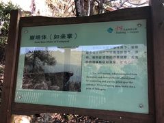 -云中大漈