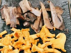 -蘑统田下·野生菌火锅