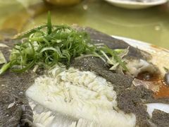 -鸿达渔港