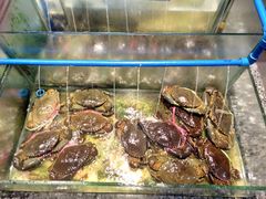 -Isla Sugbu Seafood City