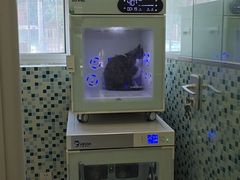 -悦宠凯宝动物医院·牙科·皮肤科(朝阳北路店)