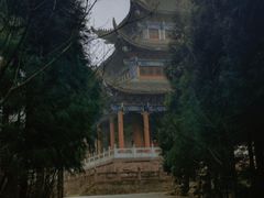-武陵山森林公园