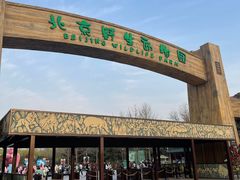 -北京野生动物园