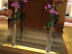 -上海浦东假日酒店逸庭咖啡厅